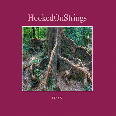 CD roots